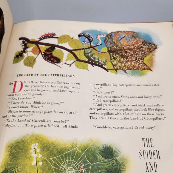 1945 Animal Stories Childrens Book Clothbound Hardcover Color Illustrations - Picture 12 of 12